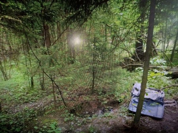 Появились фото из подмосковного леса, где были найдены останки женщины в чемодане