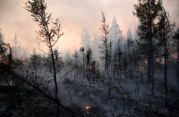 В Якутии введён режим ЧС из-за лесных пожаров