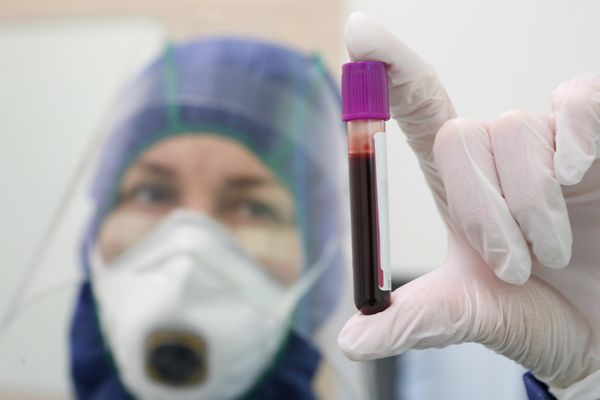 В России проведено более 26 миллионов тестов на коронавирус