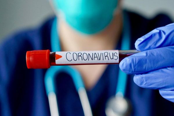 Учёный рассказал, как долго действует иммунитет против коронавируса