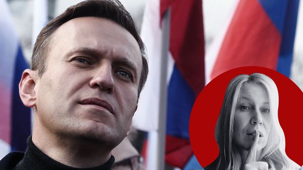 Карьера и доход Навального. Сколько платят за продажу Отечества