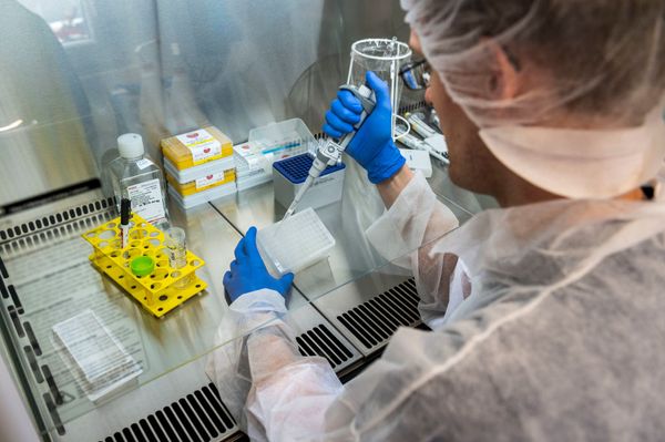 ВОЗ остановила испытания трёх лекарств от коронавируса