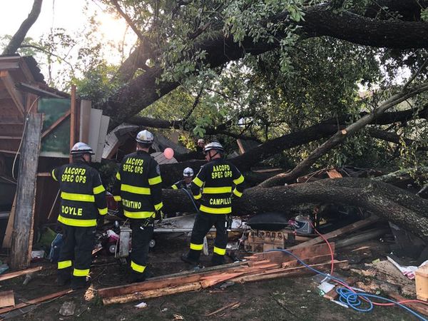 В США при падении большого дерева на гараж пострадало 19 человек