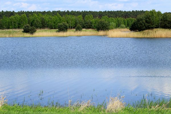 В озере в Свердловской области нашли тело 9-летнего мальчика, пропавшего накануне