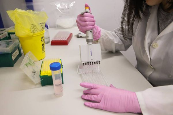 Центр вирусологии "Вектор" начал второй этап испытаний вакцины против CoViD-19