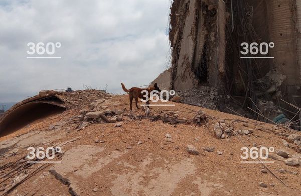 Российские кинологи с собаками начали искать людей под завалами в Бейруте