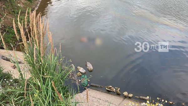 Житель Татарстана утонул, скатившись в реку на тракторе 