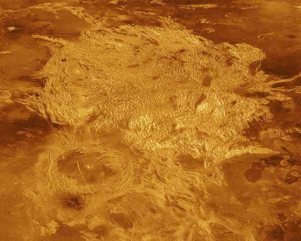 Учёные обнаружили признаки жизни на Венере