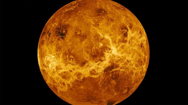 Кто мог подавать признаки жизни на Венере: версия и фотографии советских учёных