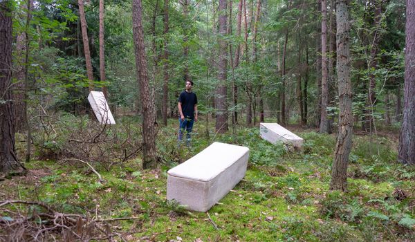 "Мы живём на кладбище природы". Исследователь из Нидерландов предложил хоронить людей в гробах из грибов