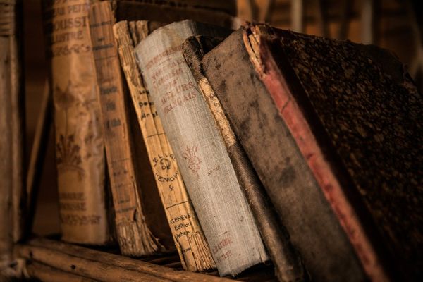 В Румынии в тайнике под полом нашли уникальные книги, украденные в Лондоне несколько лет назад