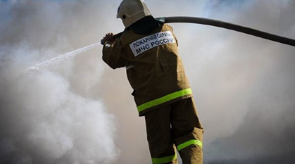 В результате лесных пожаров в Ростовской области погиб один человек
