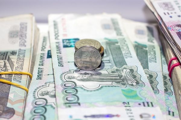 В России предлагают избавить многодетные семьи от имущественного налога