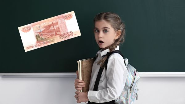 Школы пропускного режима. В Удмуртии нашли способ взимать с детей плату за вход в школы