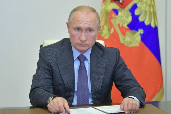 Путин поручил полностью запретить вывоз необработанной древесины