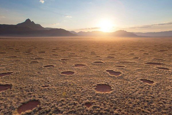 Круги, которые появляются в пустыне и без причины исчезают, поставили в тупик даже учёных