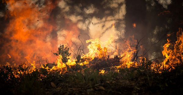 Площадь природного пожара в Ростовской области превысила 1,5 тысячи гектаров