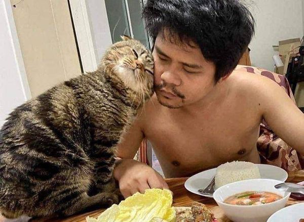 Домашний кот увёл у своей же хозяйки мужа, и фото с его ревнивой мордой стали вирусными в Сети