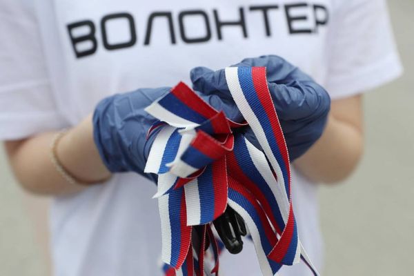В Росстате назвали число официально зарегистрированных волонтёров в России
