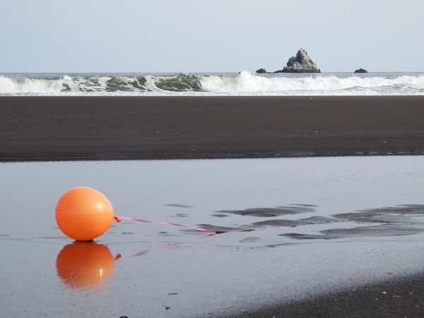 На Камчатке появится министерство счастья, но исчезнут воздушные шарики