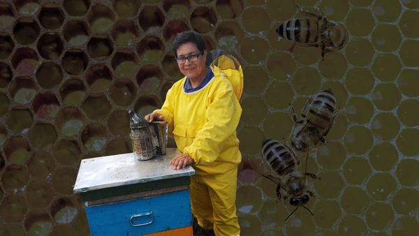 Вебкам с мёдом. Житель Башкирии продаёт фьючерсы на сладкое и сдаёт пчёл в виртуальную аренду