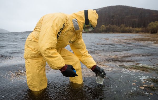 Greenpeace нашёл тяжёлые металлы и биопестициды в пробах воды с Камчатки
