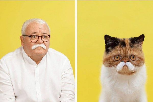 Фотограф показал, как сложно иногда отличить кошку от хозяина: 7 пар, сходство которых поражает