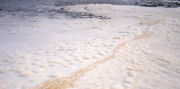 "В природе такого не бывает". Учёный объяснил появление пенных пятен у берегов Камчатки