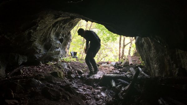 В нацпарке Приморья палеонтологи обнаружили останки неизвестного миру древнего животного