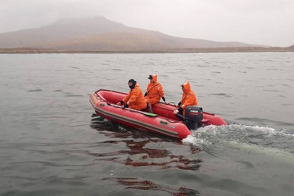 Солодов: Опасных токсинов в воде и в воздухе у побережья Камчатки не обнаружено 