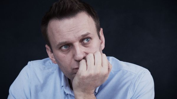 Навальный, Певчих, "Новичок". Сложные ответы на простые вопросы