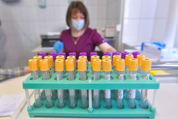 Массовое бесплатное тестирование на антитела к коронавирусу начнётся в Москве 15 мая. Как оно будет проходить