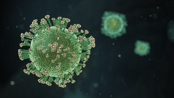 Учёные снова перенесли дату окончания эпидемии коронавируса в России