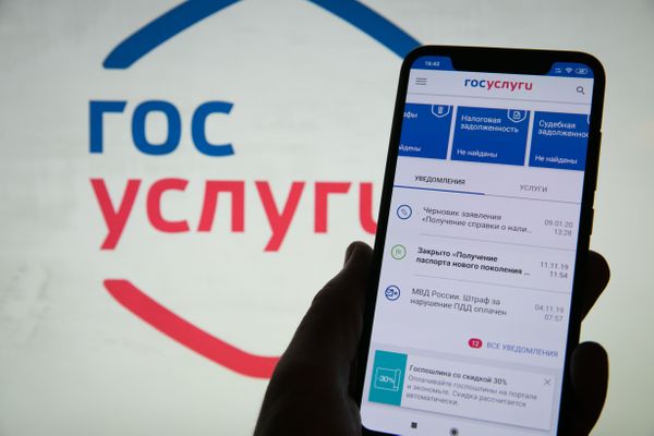 Совет Федерации одобрил закон о дистанционном голосовании через "Госуслуги"
