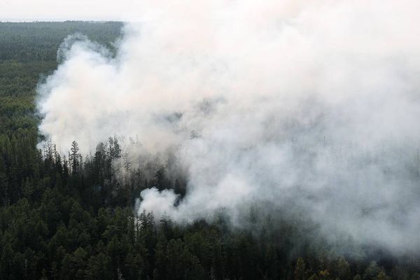 Десантников привлекли к тушению природных пожаров в Забайкалье