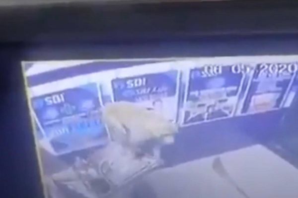 Грабитель разбил банкомат вдребезги, но камера наблюдения разоблачила его животную сущность