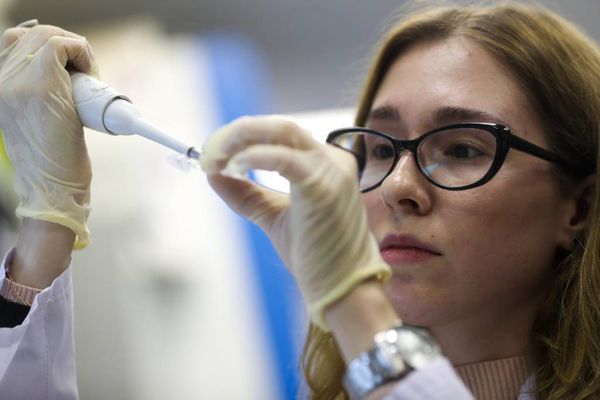 Стало известно, когда начнутся клинические испытания российской вакцины от коронавируса