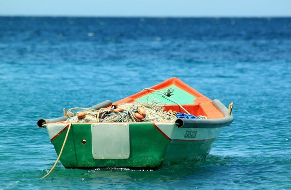Двух потерявшихся рыбаков нашли в Микронезии после 42-дневного дрейфа в открытом море