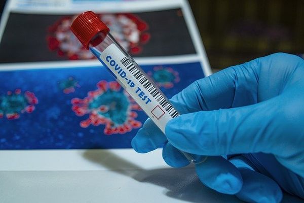 Количество выявленных случаев коронавируса в Приморье за сутки снизилось почти в два раза