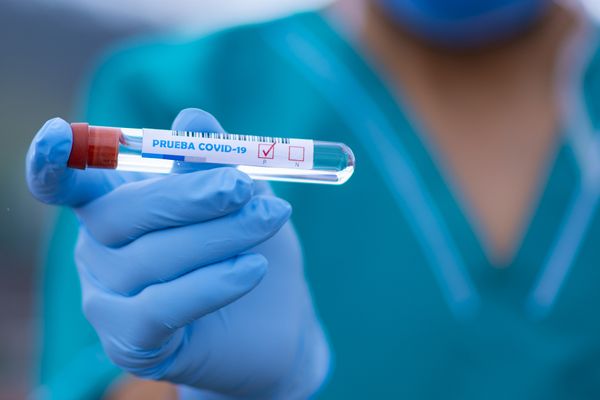 Биолог рассказала, из-за чего могут ошибаться тесты на коронавирус 