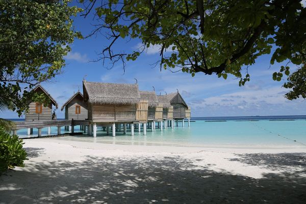 Сотни туристов на Мальдивах не могут вернуться домой из-за коронавируса 