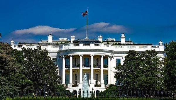 Советник Трампа боится ходить в Белый дом из-за коронавируса