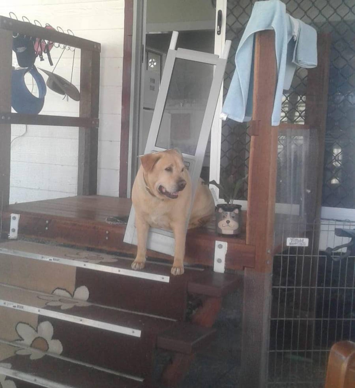 Фото © Facebook / Charmaine Hulley