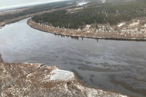 Greenpeace — о ЧП на реке в Коми: Местные уже не могут пить оттуда воду и есть рыбу