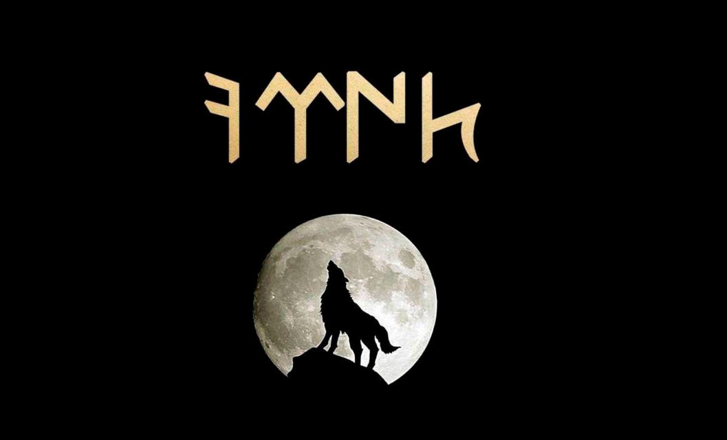 Серый волк — символ "Бозкурта"