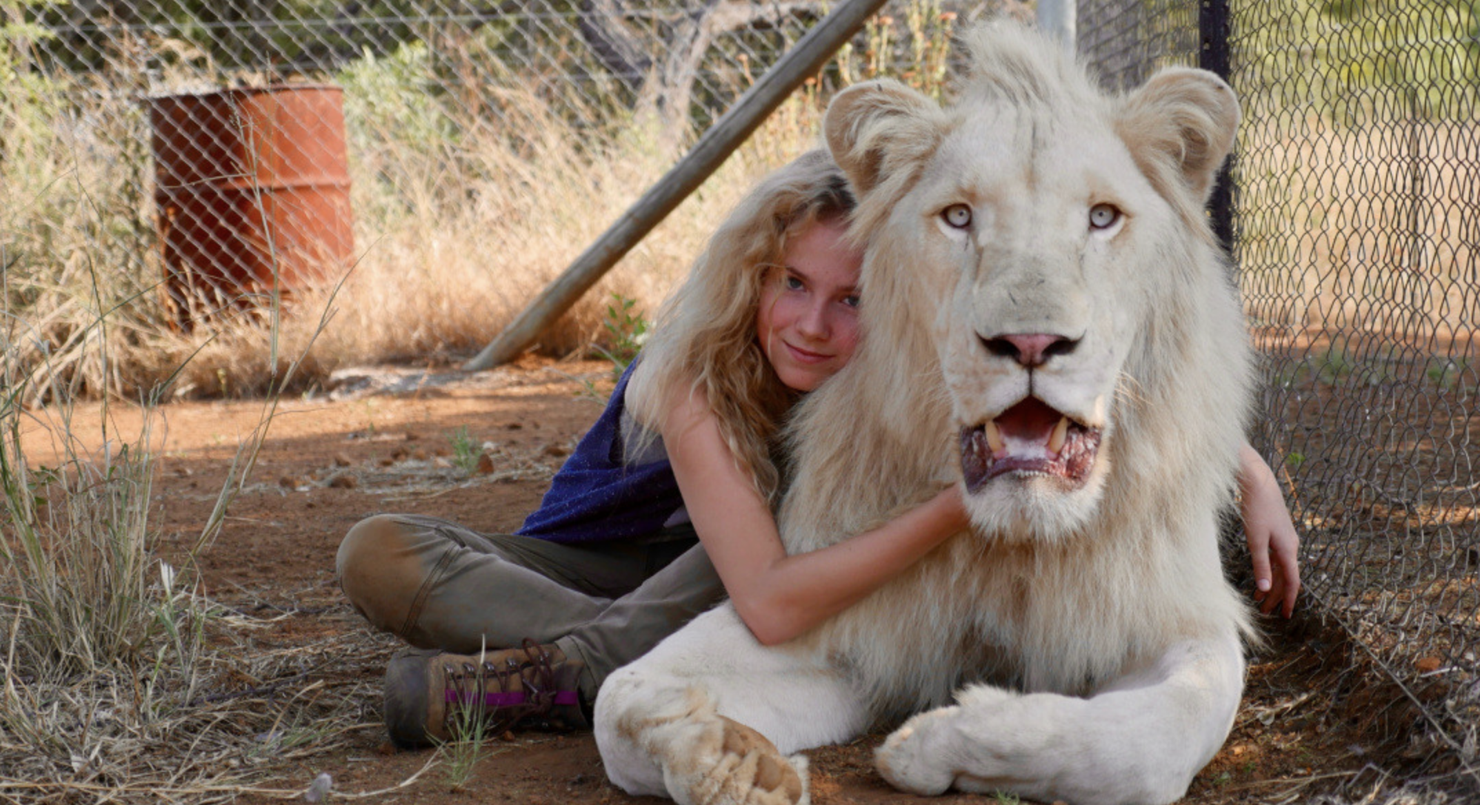 Фото: © Kinopoisk / "Девочка Миа и белый лев"