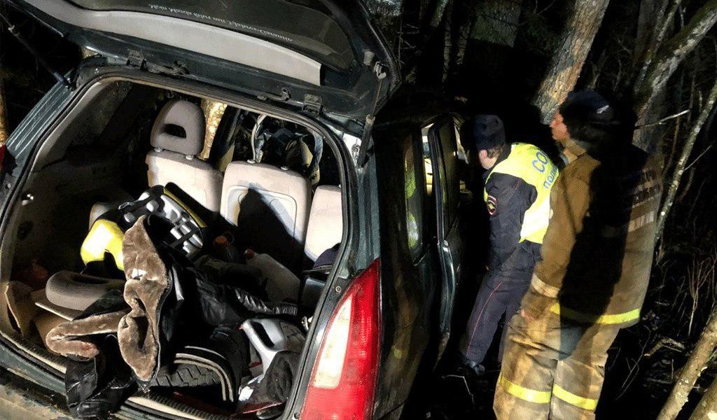 Фото © ГУ МВД России по Псковской области