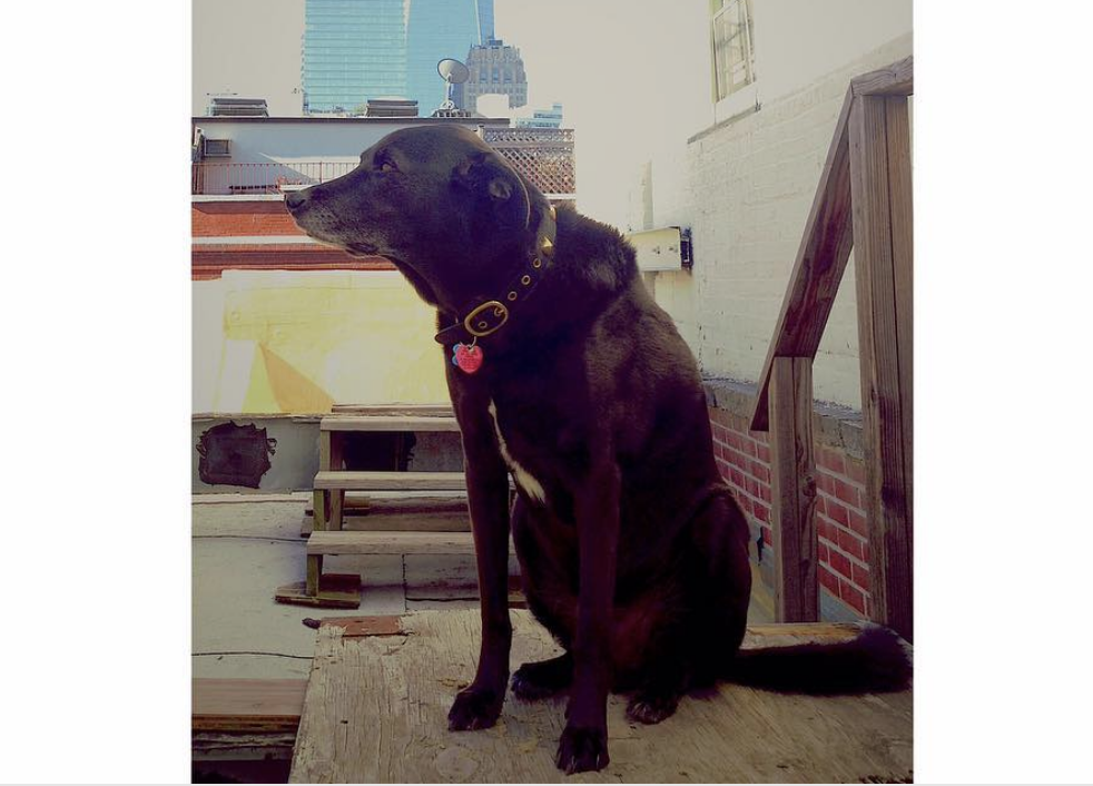 Фото: © instagram/orlandobloom