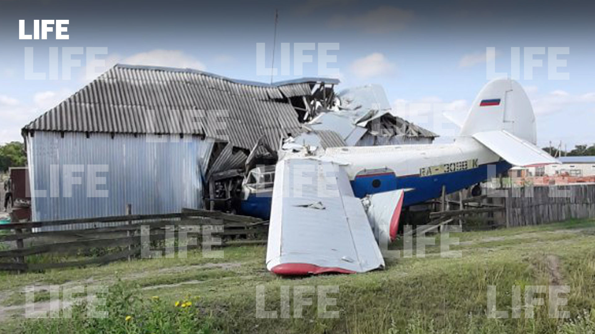 Фото © LIFE