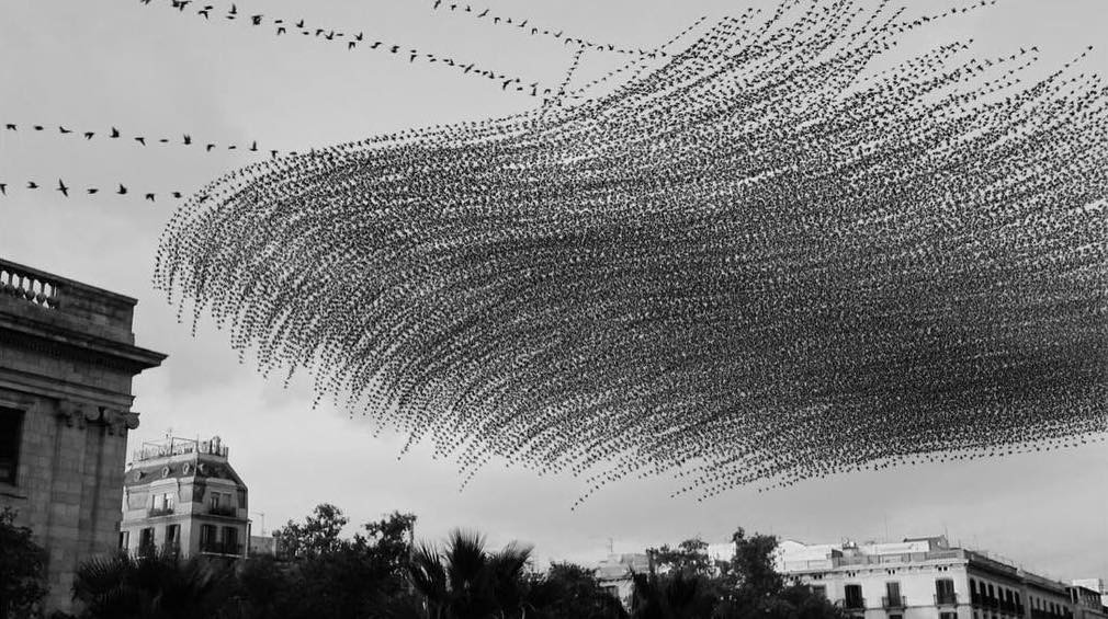 Фото © Instagram/xavibou